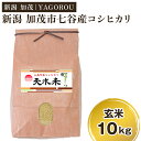 【ふるさと納税】【令和6年産米 先行予約】【新潟県加茂市七谷産】天水米 コシヒカリ 【玄米】 10kg《10月上旬〜順次発送》豊かな山水で育った天水米 コシヒカリ 加茂市 YAGOROU ヤゴロウ