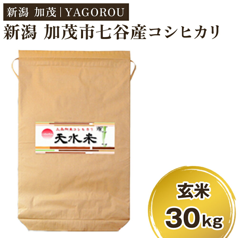 【ふるさと納税】【令和6年産米 先行予約】【新潟県加茂市七谷産】天水米 コシヒカリ 【玄米】 30kg《10月上旬〜順次発送》豊かな山水で育った天水米 コシヒカリ 加茂市 YAGOROU ヤゴロウ