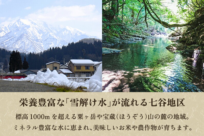 【ふるさと納税】【令和6年産米 先行予約】【新潟県加茂市七谷産】天水米 コシヒカリ 【玄米】 30kg《10月上旬〜順次発送》豊かな山水で育った天水米 コシヒカリ 加茂市 YAGOROU ヤゴロウ