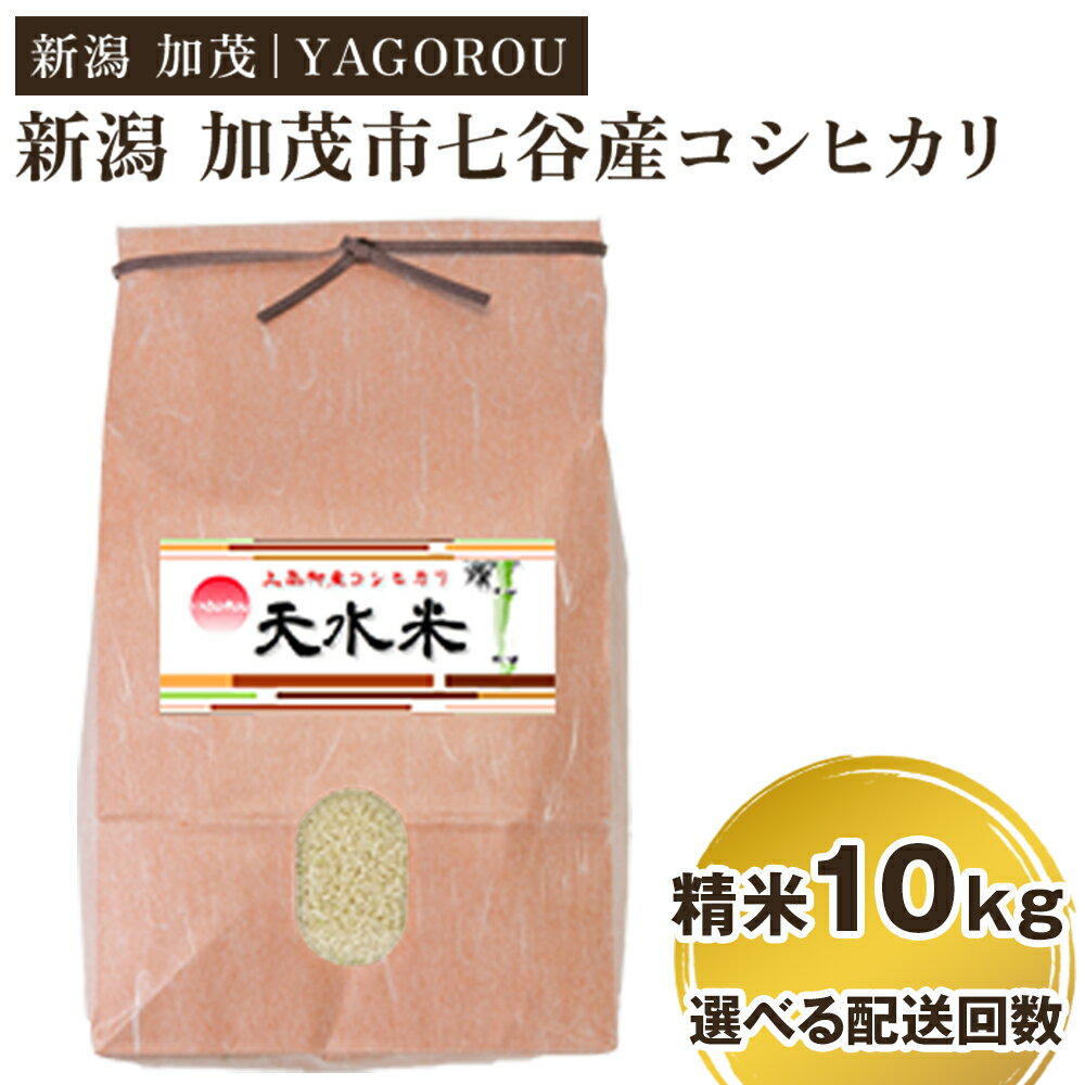 [令和7年産新米先行予約]新潟県加茂市 七谷産コシヒカリ精米10kg 選べる配送回数(通常配送1回〜定期便6回) [10月中旬〜順次発送] 新潟産コシヒカリ 豊かな山水で育った天水米 加茂市 YAGOROU ヤゴロウ