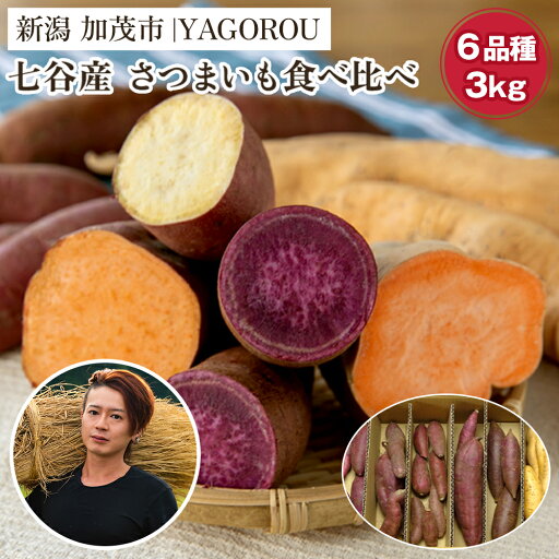 【ふるさと納税】【2025年先行予約】【家庭用】さつまいも6種食べ比べ 3kg(A品・B品混在) 新潟県加茂市七谷産 さつまいも《11月下旬〜順次発送》 サツマイモ お芋 焼き芋 スイートポテト 野菜 根菜 低温熟成 【ふるさと納税】【2025年先行予約】【家庭用】さつまいも6種食べ比べ 3kg(A品・B品混在) 新潟県加茂市七谷産 さつまいも《11月下旬〜順次発送》 サツマイモ お芋 焼き芋 スイートポテト 野菜 根菜 低温熟成