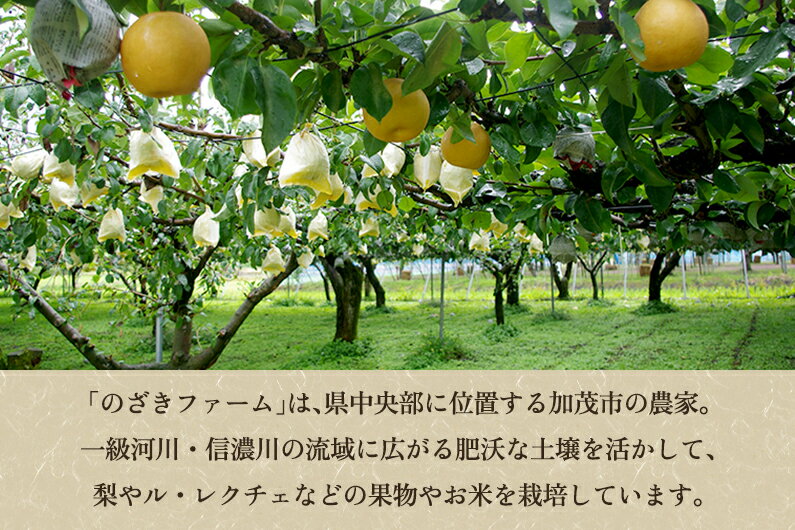 【ふるさと納税】【令和7年産新米先行予約】新潟県産コシヒカリ 玄米20kg（20kg×1袋）（従来品種） 《9月下旬から順次出荷》 新潟米 お米 こめ コメ ライス ご飯 加茂市 のざきファーム
