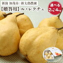 【ふるさと納税】【2025年先行予約】【贈答用】幻の洋梨 ル・レクチェ 選べる「2kg」or「3kg」or「4kg」《11月下旬から順次発送》 化粧箱入り 果物 フルーツ ギフト 贈答 加茂市産ル・レクチェ 梨 西洋梨 加茂市 新太郎農園