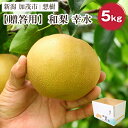 61位! 口コミ数「1件」評価「2」【2025年先行予約】【贈答用】新潟県産和梨 幸水 約5kg(10〜14玉) 《8月下旬から順次発送》梨 なし ナシ 幸水 こうすい 果物 果樹 フルーツ 樹上完熟 加茂果樹専門家集団 加茂市 想樹