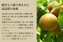 新潟県加茂市の画像3