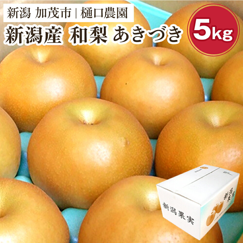 王秋梨」2.5キロ(4～6玉)2箱ｾｯﾄ たにがみ農園 鳥取県産