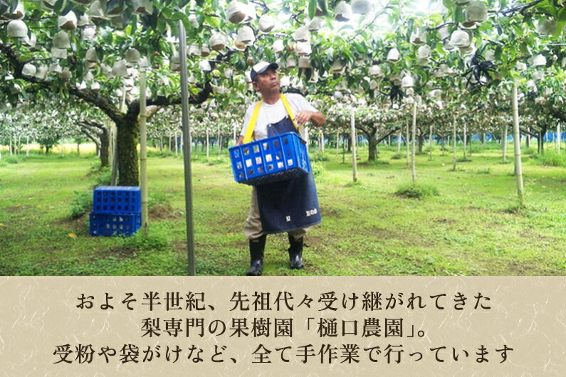 【ふるさと納税】【2026年先行予約】【家庭用】和梨 豊水 選べる「3kg」or「5kg」or「10kg」《9月上旬〜順次発送》果物 なし ほうすい 梨 フルーツ 新鮮 ジューシー 産地 加茂市 樋口農園