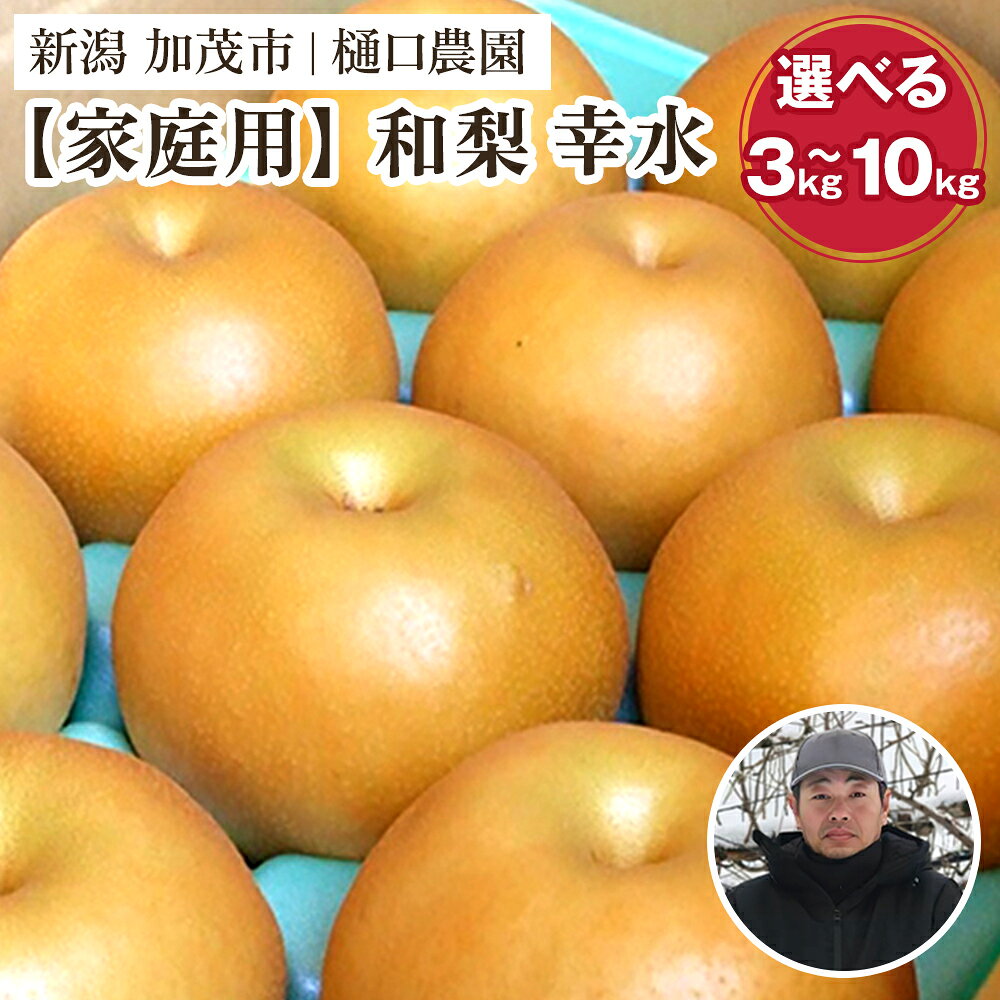 【家庭用】【2026年先行予約】和梨 幸水 選べる「3kg」or「5kg」or「10kg」《8月中旬から順次発送》 果物 なし こうすい 梨 フルーツ 新鮮 ジューシー 産地 加茂市 樋口農園