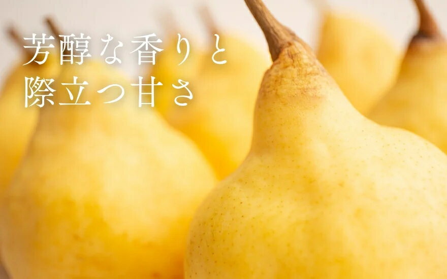 新潟県加茂市の画像2