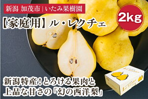 【ふるさと納税】新潟特産 幻の洋梨ル・レクチェ 家庭用 約2kg（5～7玉） 《11月中旬以降、順次発送》ル レクチェ 果物 フルーツ 新潟県産 特産 産地直送 加茂市 いたみ果樹園