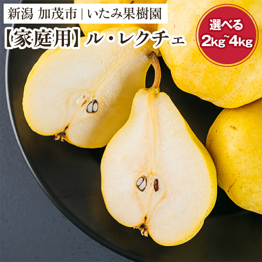 [2024年先行予約]新潟特産 幻の洋梨ル・レクチェ 厳選プレミアム 「約2kg」or「約3kg」or「約4kg」 [11月下旬以降、順次発送] 令和5年新潟県ル・レクチェ果実品評会「県知事賞」 果物 フルーツギフト 冬の味覚 産地直送加茂市 いたみ果樹園