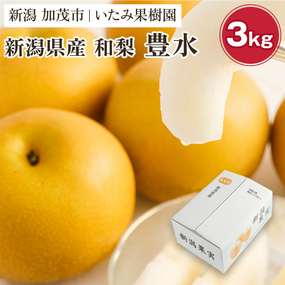 【ふるさと納税】【2024年先行予約】厳選 豊水梨 3kg 6～8玉 新潟県産《9月上旬以降発送》果物 フルーツ ほうすい 加茂市 いたみ果樹園