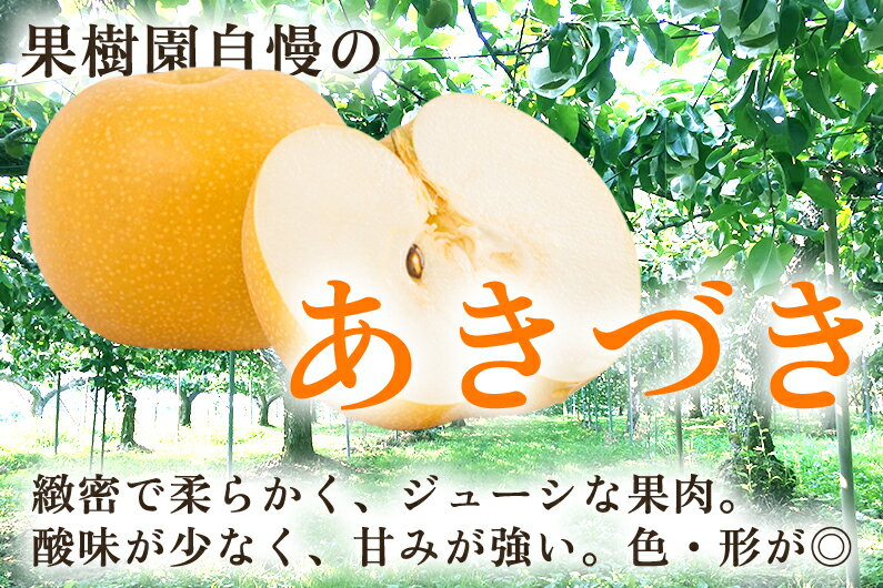 【ふるさと納税】【2026年先行予約】【厳選】新潟県産 和梨 あきづき 選べる内容量 「3kg」or「5kg」《9月上旬以降発送》果物 フルーツ 加茂市 いたみ果樹園