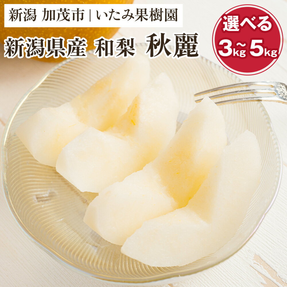 [2026年先行予約][厳選]新潟県産 和梨 秋麗梨 選べる内容量 「3kg」or「5kg」[8月中旬以降発送]果物 フルーツ こうすい 加茂市 いたみ果樹園