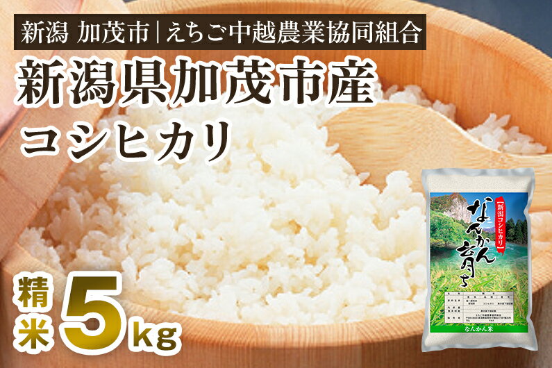 令和5年産 新潟産コシヒカリ なんかん育ち「こしひかり米」精米5kg 白米 特別栽培米 えちご中越農業協同組合