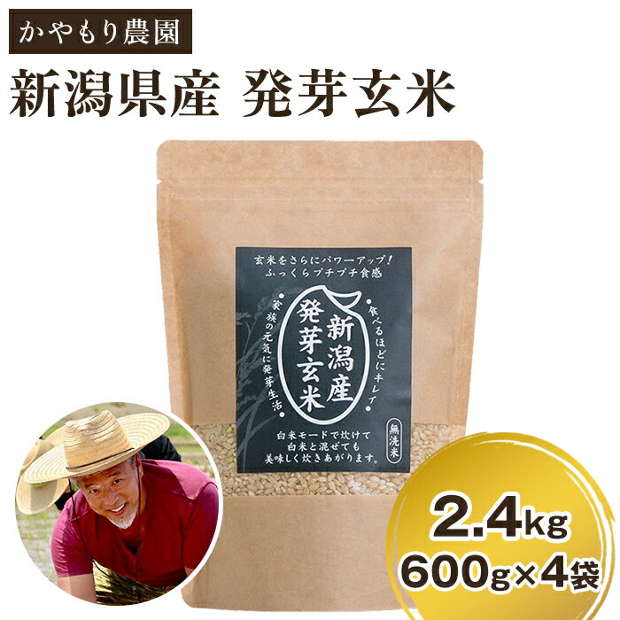 令和5年産 [発芽玄米] 新潟産 発芽玄米2.4kg（600g×4個）新潟米 新潟県産 かやもり農園