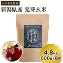 yӂ邳Ɣ[Łzߘa5NY [茺] VY 茺4.8kgi600g~8jV VY _