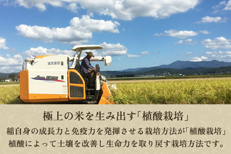 【ふるさと納税】【令和5年産米】[発芽玄米] 新潟産 発芽玄米2.4kg（600g×4個）新潟米 新潟県産 かやもり農園