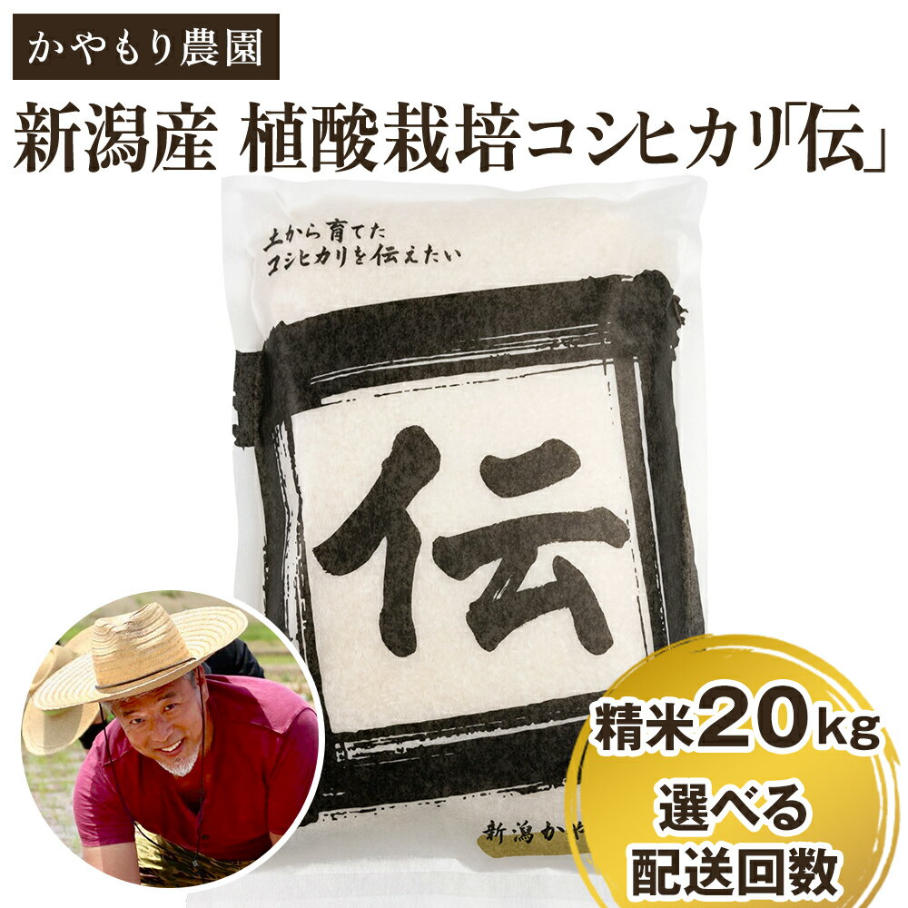 11位! 口コミ数「0件」評価「0」令和5年産 新潟産コシヒカリ「伝」白米真空パック 精米20kg（5kg×4）選べる配送回数（通常配送1回～定期便12回） 南麻布の高級料亭で･･･ 