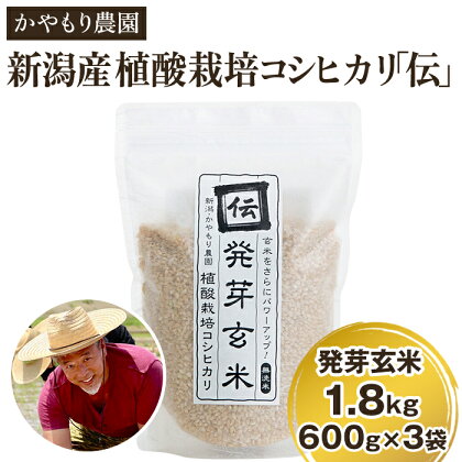 【令和5年産米】[発芽玄米] 新潟産コシヒカリ「伝」発芽玄米1.8kg（600g×3個）かやもり農園