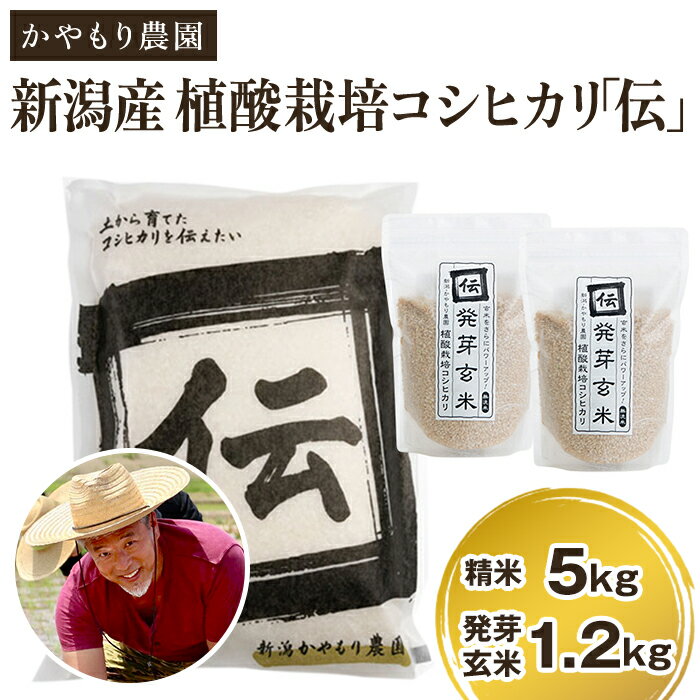 令和5年産 新潟産コシヒカリ「伝」精米5kgと発芽玄米1.2kg(600g×2)セット かやもり農園