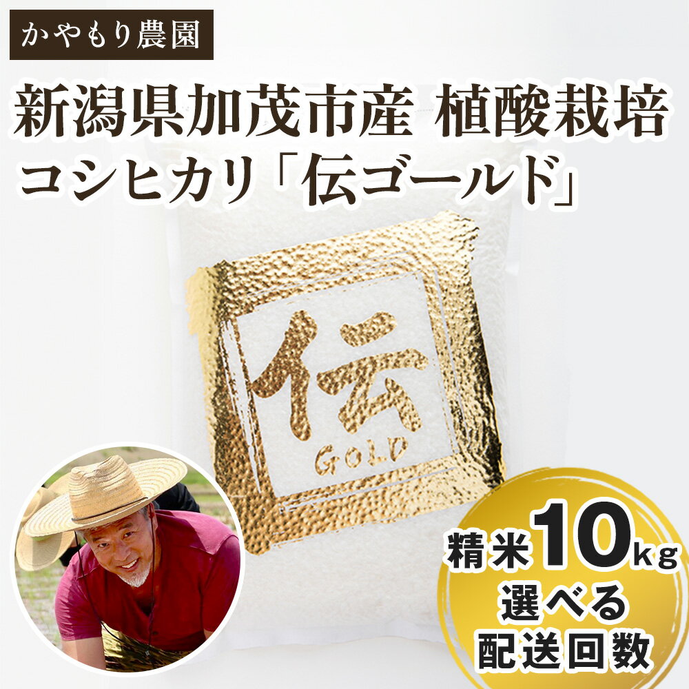 【ふるさと納税】【令和5年産米】新潟産コシヒカリ「伝ゴールド」白米真空パック 精米2kg 選べる配送回数（通常配送1回～定期便12回） 南麻布の高級料亭で提供される極上米 かやもり農園