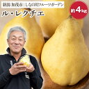 新潟特産 幻の洋梨 ル・レクチェ  約4kg （9～12個） 《11月下旬～お届け》 果物 フルーツギフト 冬の味覚 産地直送 加茂市 山伴しなの川フルーツガーデン