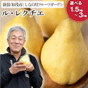 新潟特産 幻の洋梨 ル・レクチェ  約1.5～3kg 《11月下旬～お届け》 果物 フルーツギフト 冬の味覚 産地直送 加茂市 山伴しなの川フルーツガーデン