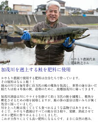 【ふるさと納税】[12回定期便] 新潟県産 コシヒカリ「伝」白米 計60kg (5kg真空パック 12回お届け) 令和4年産 [0477] 画像2