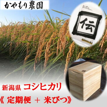 【ふるさと納税】【6回定期便】〈桐製 米びつ付き〉新潟県産 コシヒカリ「伝」 白米 計30kg（5kg真空パック 6回お届け）