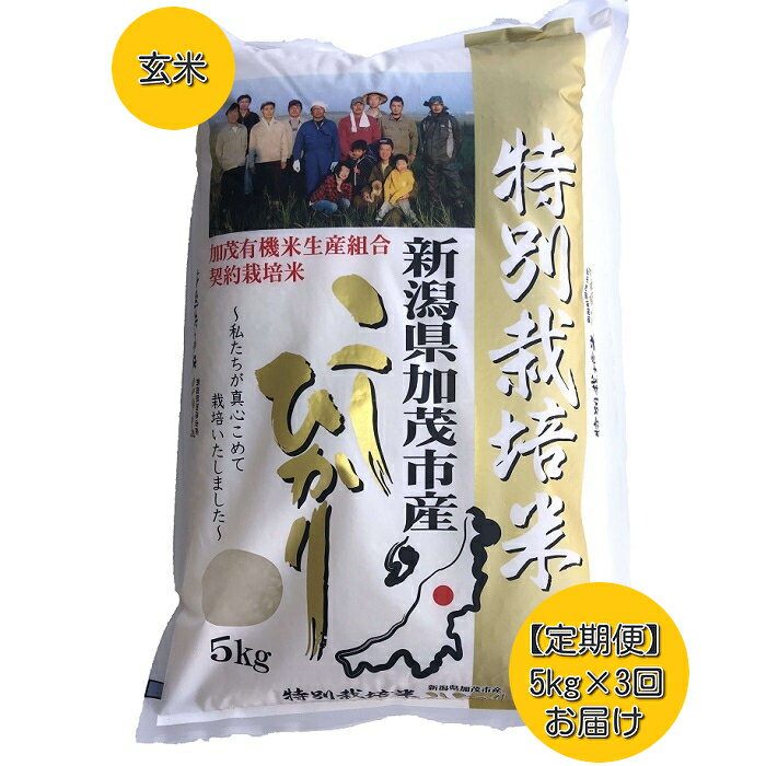 【ふるさと納税】【定期便3回隔月お届け】新潟県加茂市産 特別栽培米コシヒカリ 玄米5kg 従来品種コシヒカリ 加茂有機米生産組合