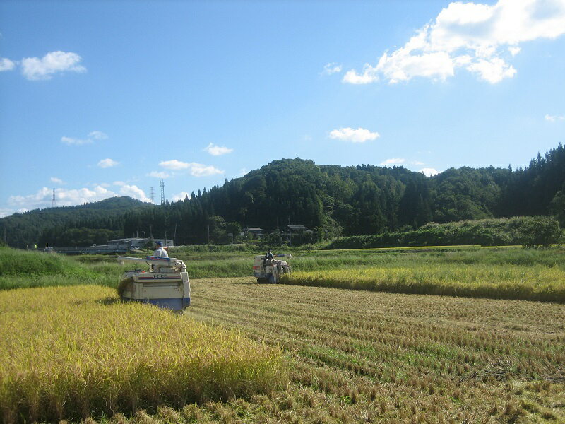 【ふるさと納税】[6回定期便] 新潟県加茂市 七谷産コシヒカリ 5kg×6回お届け [0025]