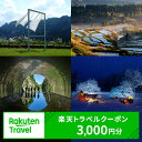 新潟の旅行券（宿泊券） 【ふるさと納税】新潟県十日町市の対象施設で使える楽天トラベルクーポン 寄付額10,000円　【宿泊券】