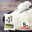 【ふるさと納税】【先行予約】【定期便/12ヶ月】魚沼産川西こしひかり5kg 令和7年度米<令和7年10月下旬~発送予定> お届け:令和7年10月下旬~発送開始予定。毎月1回。全12回のお届け。