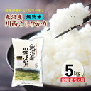 【ふるさと納税】【先行予約】【定期便/12ヶ月】無洗米 魚沼産川西こしひかり5kg 令和7年度米<令和7年10月下旬~発送予定> お届け:令和7年10月下旬~発送開始予定。毎月1回。全12回のお届け。
