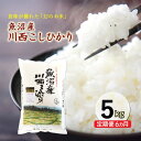 【ふるさと納税】【先行予約】【定期便/6ヶ月】魚沼産川西こしひかり5kg 令和7年度米<令和7年10月下旬~発送予定> お届け:令和7年10月下旬~発送開始予定。毎月1回。全6回のお届け。