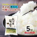【ふるさと納税】【先行予約】【定期便/6ヶ月】無洗米 魚沼産川西こしひかり5kg 令和7年度米<令和7年10月下旬~発送予定> お届け:令和7年10月下旬~発送開始予定。毎月1回。全6回のお届け。