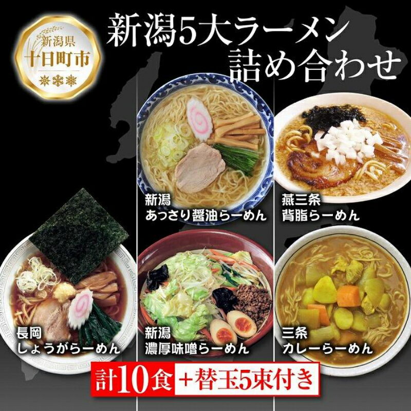 新潟5大ラーメン あっさり醤油 燕三条背脂 長岡しょうが 濃厚味噌 三条カレーらーめん 計10食 替え玉 乾麺 詰め合わせ しょうゆ みそ 備蓄 ご当地 お取り寄せ ギフト 松代そば善屋 新潟県 十日町市 麺類 コシ こだわり 本格的