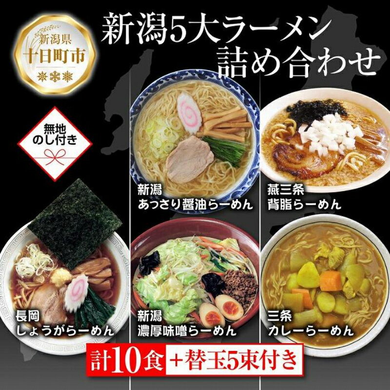 あっさり醤油 燕三条背脂 長岡しょうが 濃厚味噌 三条カレーらーめん 計10食 替え玉 乾麺 詰め合わせ 無地熨斗 しょうゆ みそ 備蓄 お取り寄せ ギフト のし 熨斗 松代そば善屋 新潟県 十日町市 麺類 コシ こだわり