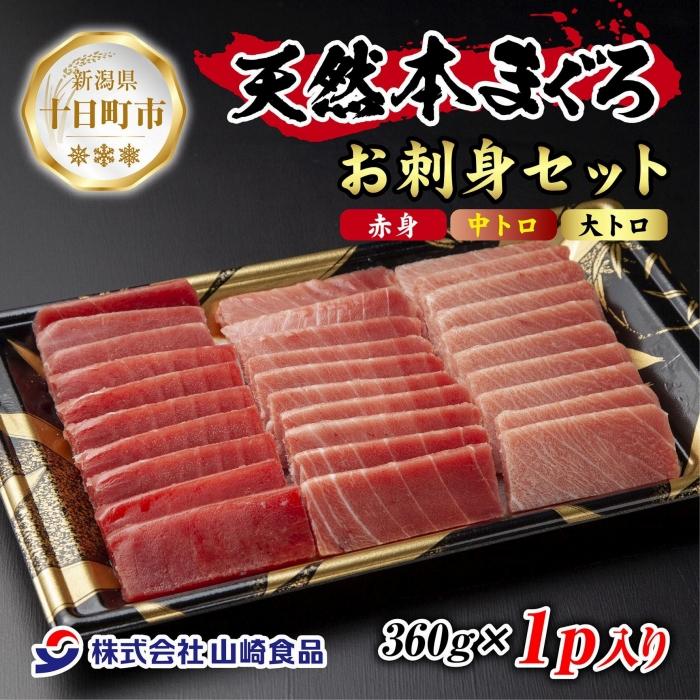 【ふるさと納税】天然 本マグロ 刺身セット 360g 赤身 