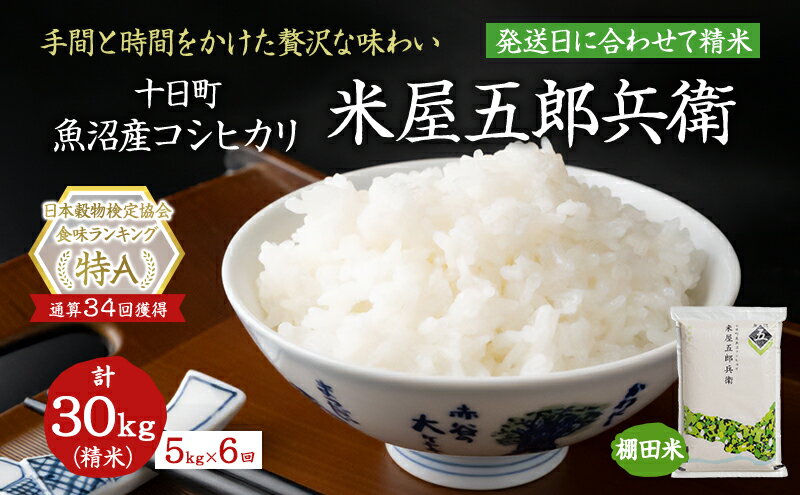 【ふるさと納税】【定期便／全6回】十日町産魚沼コシヒカリ　米屋五郎兵衛　棚田米　精米5kg　【定期便・ 米 お米 おこめ こめ 精米 白米 コシヒカリ こしひかり 6ヶ月 お楽しみ 新潟 】