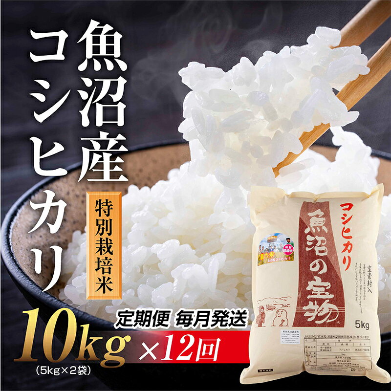 15位! 口コミ数「0件」評価「0」【定期便 毎月発送 12回】魚沼産 コシヒカリ 10kg 特別栽培米 魚沼の宝物 嘉六 農家のこだわり 新潟県 十日町市 こしひかり お米 ･･･ 