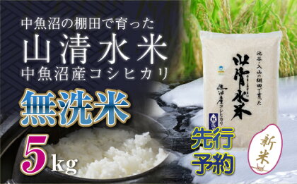 【新米先行受付】新潟県魚沼産コシヒカリ「山清水米」無洗米5kg　【十日町市】　お届け：2024年10月上旬から順次発送します。