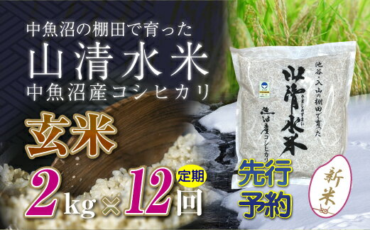 15位! 口コミ数「0件」評価「0」【新米先行受付】【定期便／全12回】玄米2kg　新潟県魚沼産コシヒカリ「山清水米」　【定期便・十日町市】　お届け：2024年10月上旬から順･･･ 