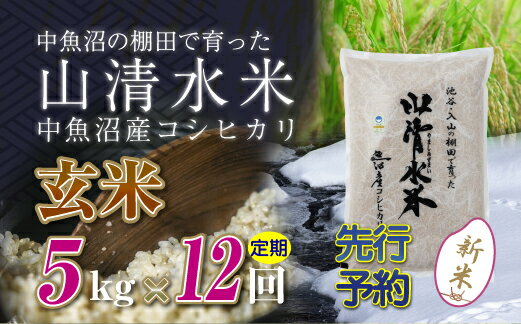 19位! 口コミ数「0件」評価「0」【新米先行受付】【定期便／全12回】玄米5kg　新潟県魚沼産コシヒカリ「山清水米」　【定期便・十日町市】　お届け：2024年10月上旬から順･･･ 