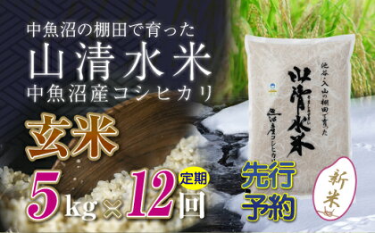 【新米先行受付】【定期便／全12回】玄米5kg　新潟県魚沼産コシヒカリ「山清水米」　【定期便・十日町市】　お届け：2024年10月上旬から順次発送します。