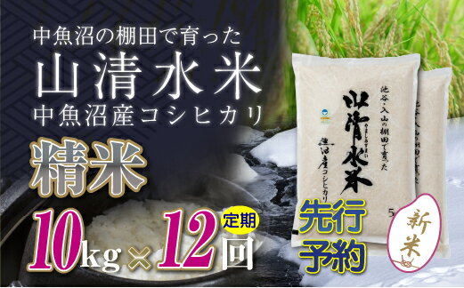 1位! 口コミ数「0件」評価「0」【新米先行受付】【定期便／全12回】精米10kg　新潟県魚沼産コシヒカリ「山清水米」　【定期便・十日町市】　お届け：2024年10月上旬から･･･ 