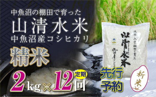 8位! 口コミ数「0件」評価「0」【新米先行受付】【定期便／全12回】精米2kg　新潟県魚沼産コシヒカリ「山清水米」　【定期便・十日町市】　お届け：2024年10月上旬から順･･･ 