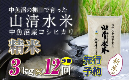 7位! 口コミ数「0件」評価「0」【新米先行受付】【定期便／全12回】精米3kg　新潟県魚沼産コシヒカリ「山清水米」　【定期便・十日町市】　お届け：2024年10月上旬から順･･･ 