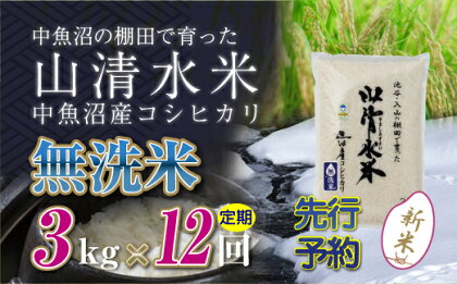 【新米先行受付】【定期便／全12回】無洗米3kg　新潟県魚沼産コシヒカリ「山清水米」　【定期便・十日町市】　お届け：2024年10月上旬から順次発送します。